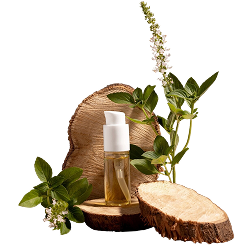 Wall Art & Paintings