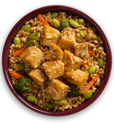 Wall Art & Paintings