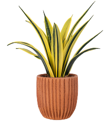 Wall Art & Paintings