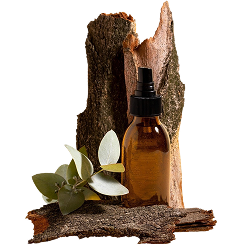 Wall Art & Paintings