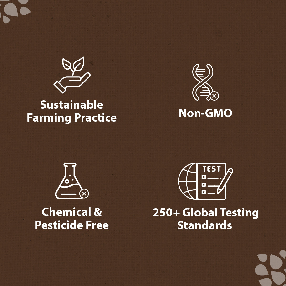 Organic Tattva Organic Kabuli Chana