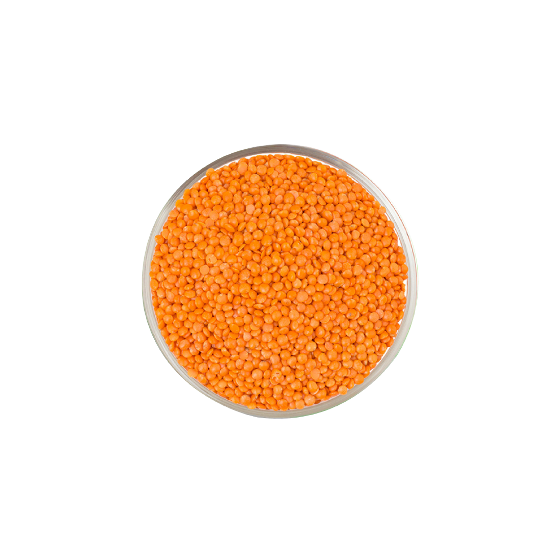 Organic Tattva Organic Masoor Malka Whole