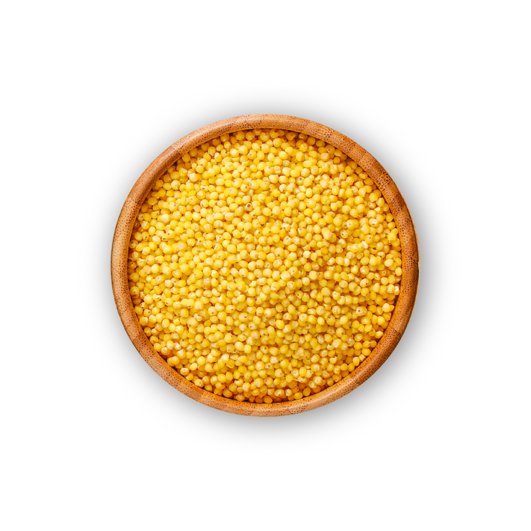Organic Tattva Organic Foxtail Millet