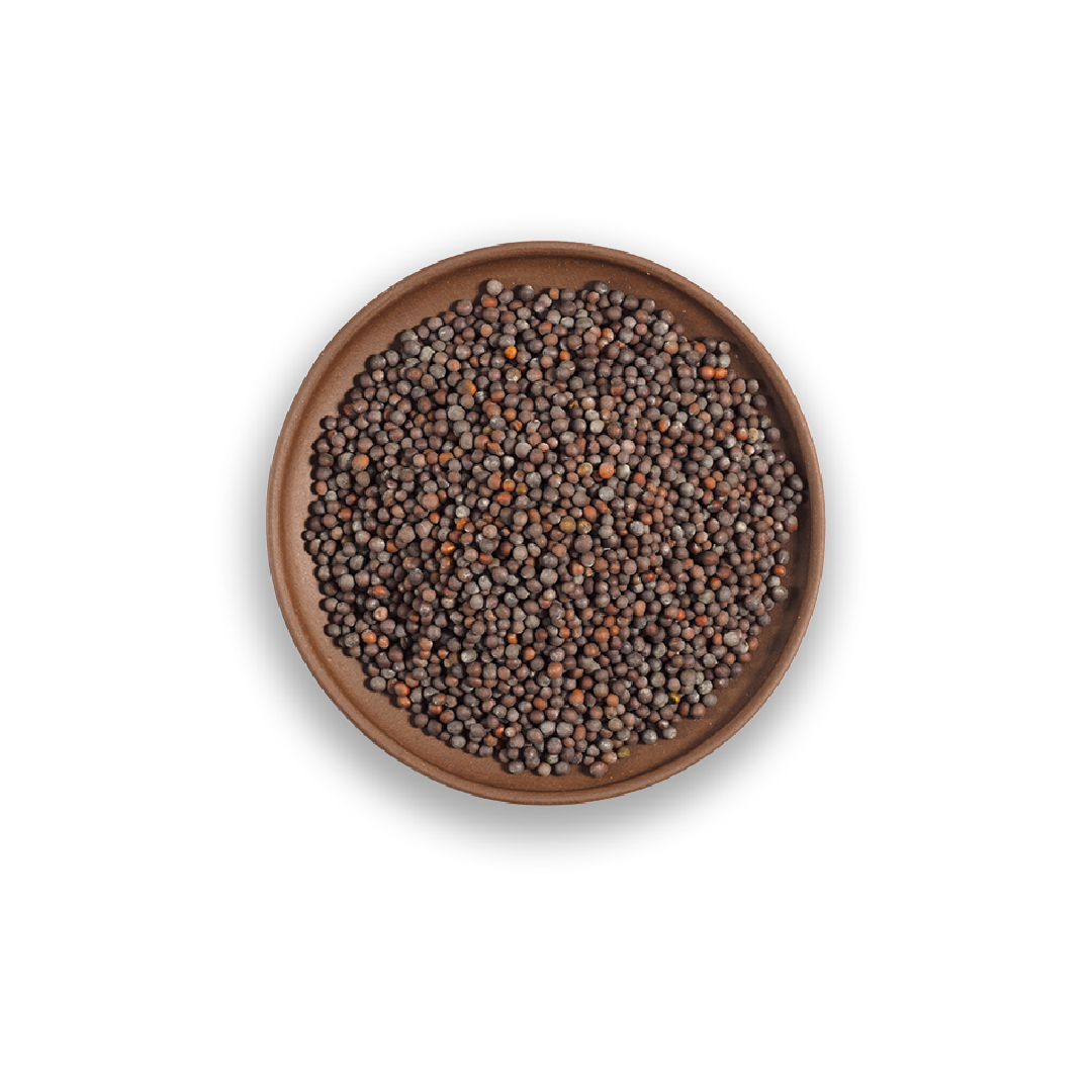 Organic Tattva Organic Black Mustard