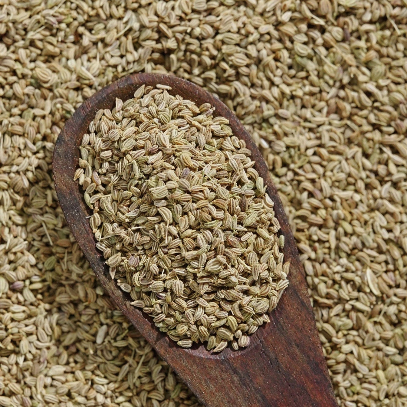 Organic Tattva Organic Ajwain Whole
