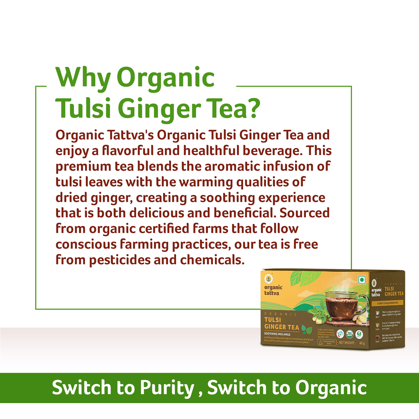 Organic tattva Organic Tulsi Ginger Tea (20 teabags)