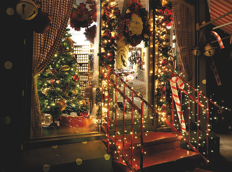 Festive Collection